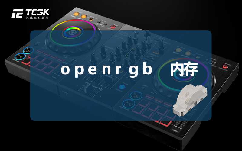 openrgb 内存